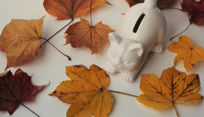 Autumn Budget to be delivered on 26 November