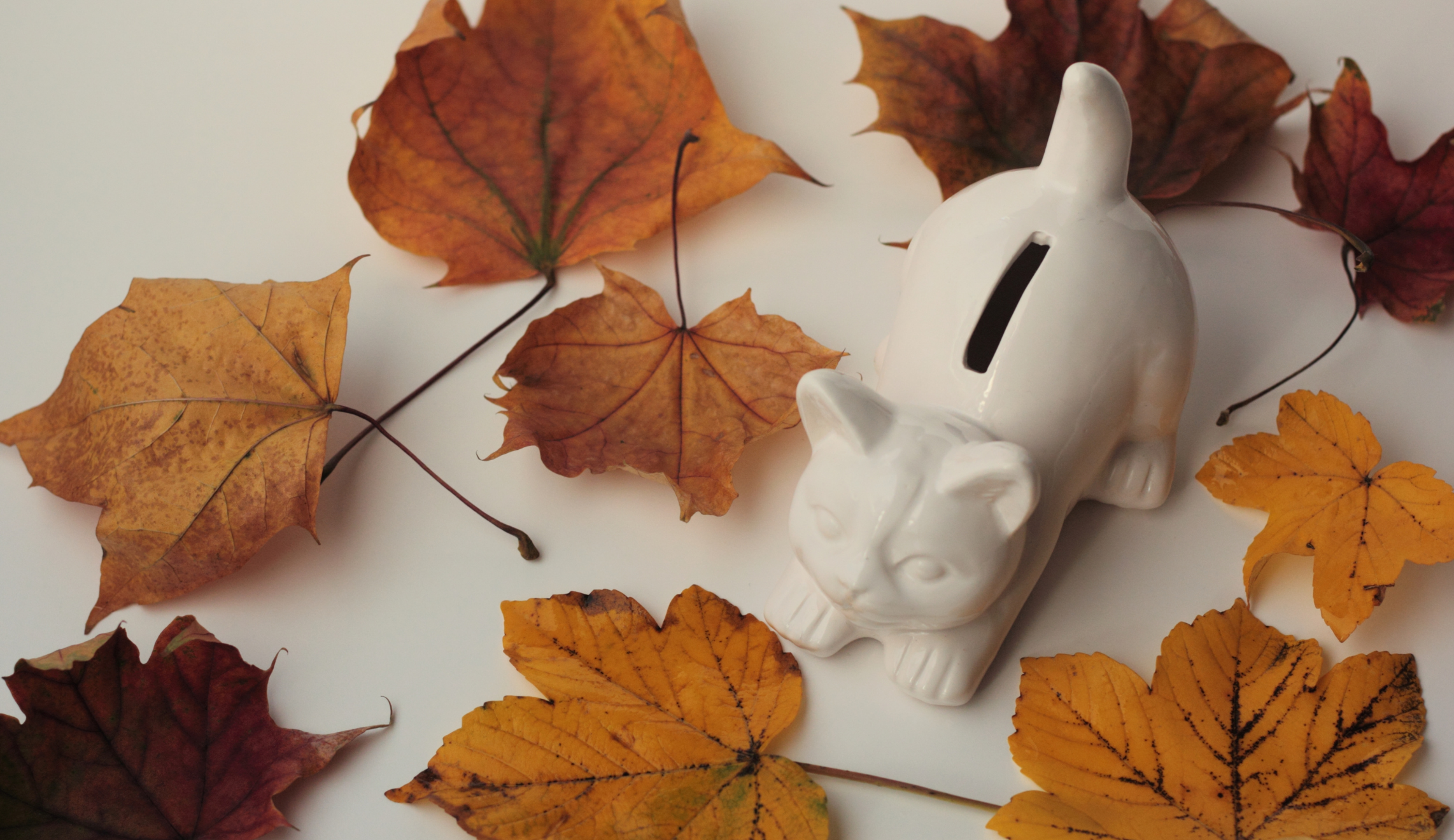 Autumn Budget to be delivered on 26 November Banner Photo