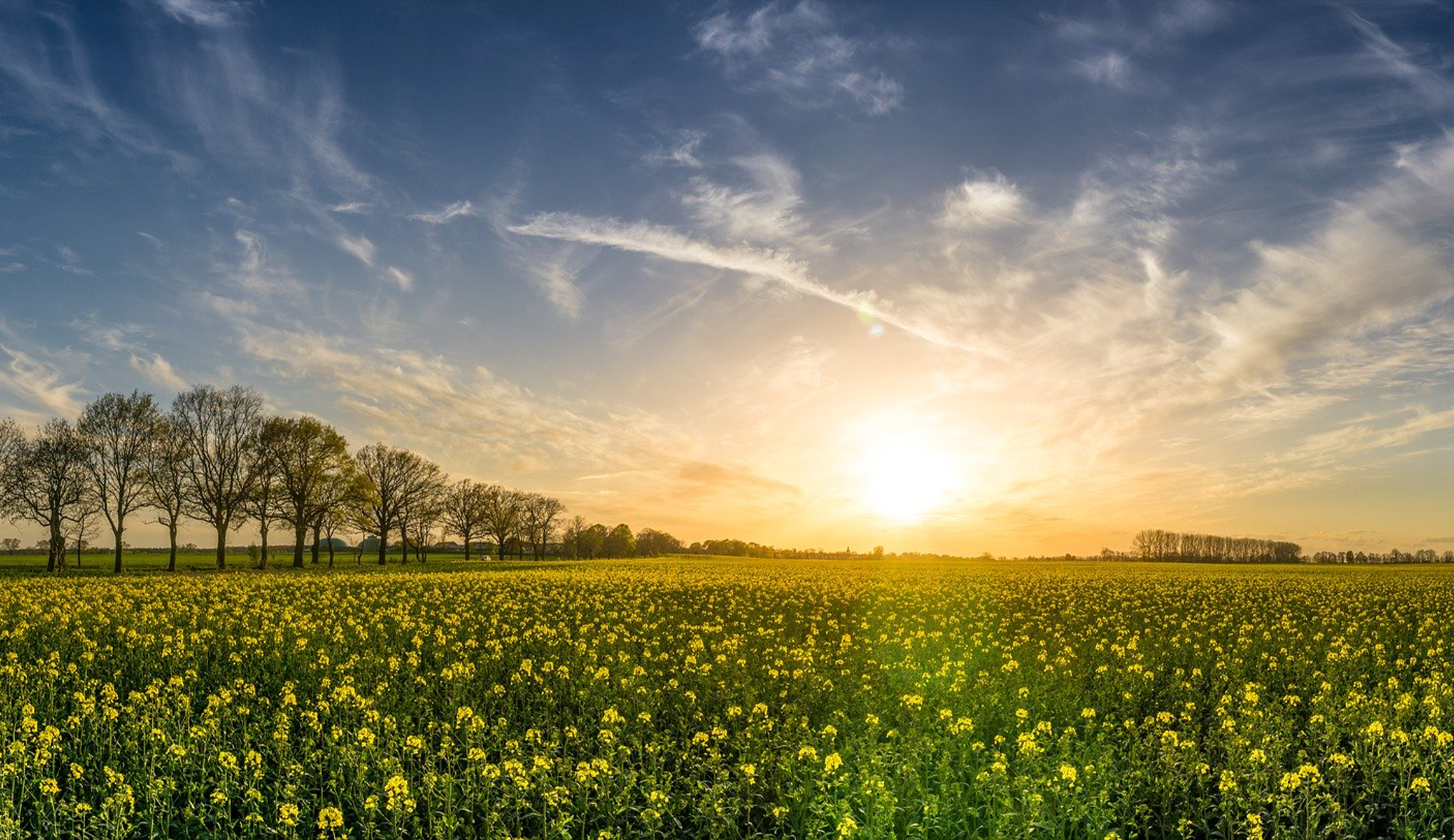 HMRC's VAT Deferral New Payment Scheme to close this month Banner Photo