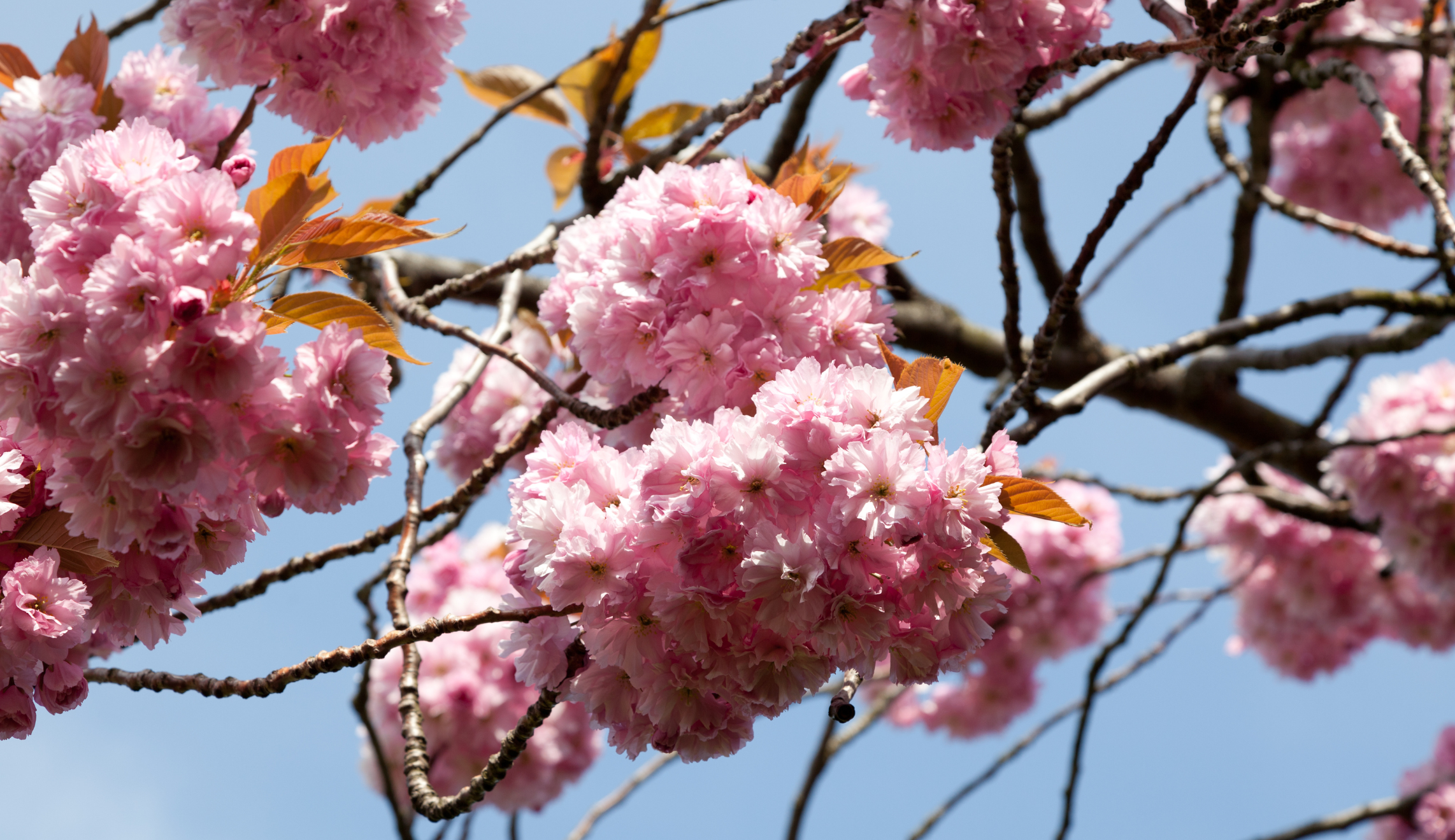 Spring Statement set for 3 March 2026 Banner Photo