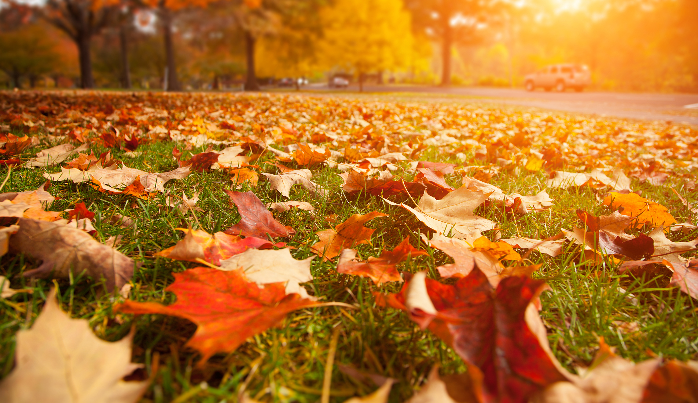 Autumn Budget 2021 Report Banner Photo